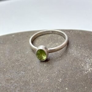 925 Silver Jewelry NSJ-1097